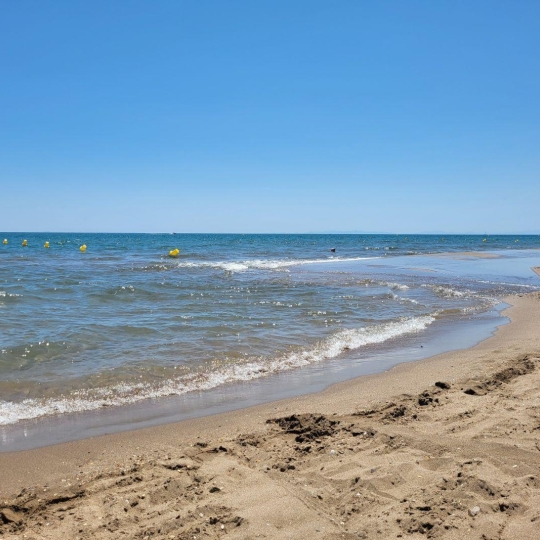  LSI immobilière : Local / Bureau | PORTIRAGNES-PLAGE (34420) | 50 m2 | 65 000 € 