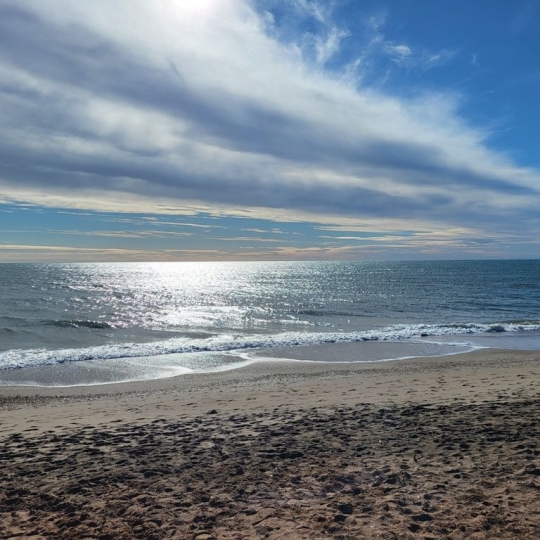  LSI immobilière : Appartement | PORTIRAGNES-PLAGE (34420) | 70 m2 | 298 000 € 
