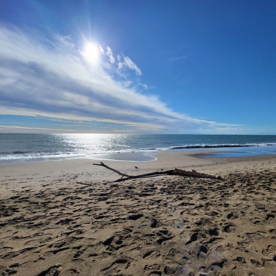  LSI immobilière : Maison / Villa | PORTIRAGNES-PLAGE (34420) | 65 m2 | 242 000 € 