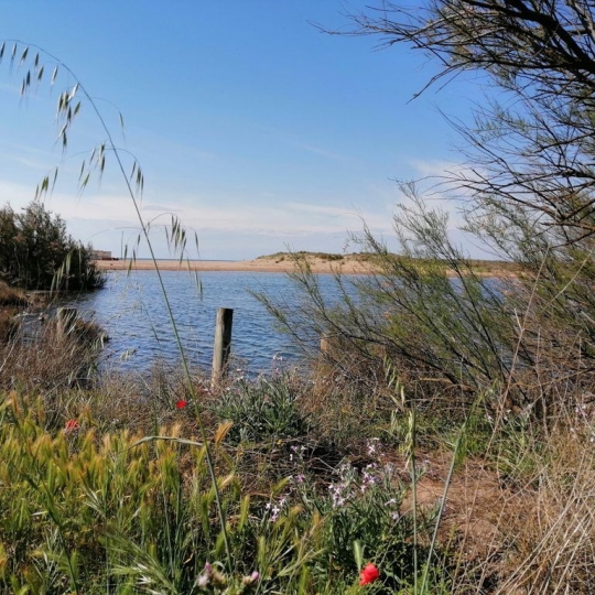  LSI immobilière : Maison / Villa | PORTIRAGNES-PLAGE (34420) | 40 m2 | 169 000 € 
