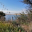  LSI immobilière : Maison / Villa | PORTIRAGNES-PLAGE (34420) | 40 m2 | 169 000 € 