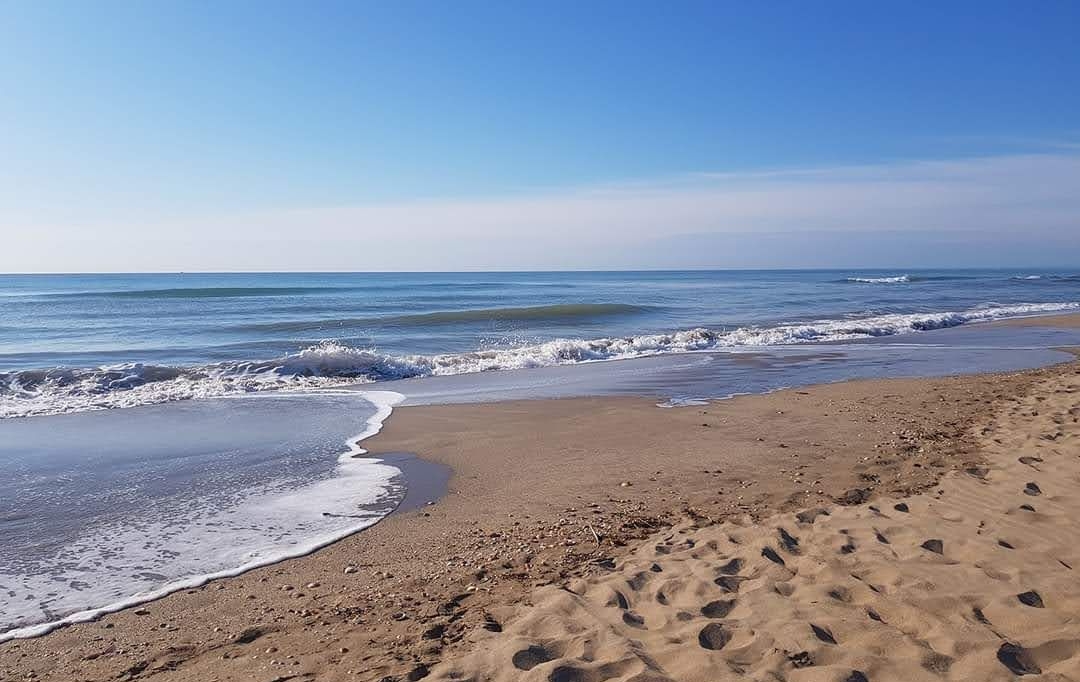 LSI immobilière : Maison / Villa | PORTIRAGNES-PLAGE (34420) | 65 m2 | 226 000 € 