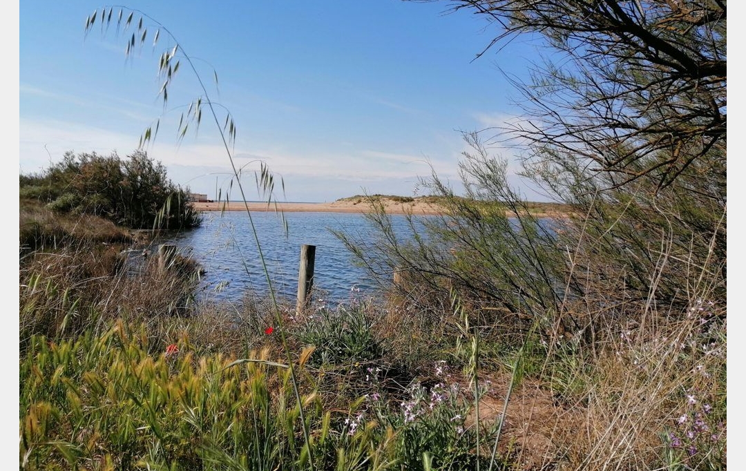 LSI immobilière : Maison / Villa | PORTIRAGNES-PLAGE (34420) | 40 m2 | 169 000 € 
